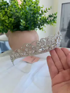 Coroa Greta Prata na internet