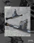 Trucks Anchos - comprar online