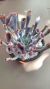 Echeveria Trumper en internet