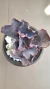 Echeveria Rulosa Purple.. - comprar en línea