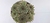 Sempervivum en internet