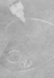 LAMINATION - Gel para sobrancelhas - comprar online