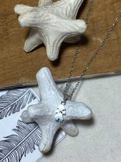 COLLAR CB36
