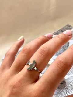 ANILLO DB22
