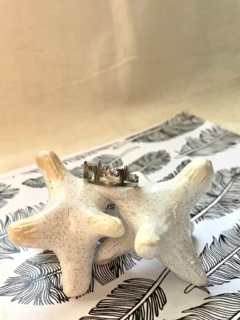 ANILLO DB25