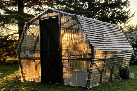 Invernable Clasico Color - comprar online