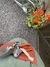 Delantal para jardineria - Invernable