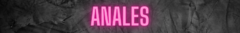 Banner de la categoría Anales