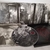 ARJONA - INDEPENDIENTE - comprar online