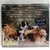 NORAH JONES - THE FALL - comprar online