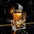 YSL Libre EDP Intense na internet