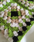 Cropped Squares