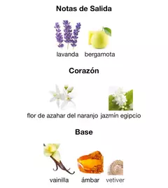 THARWAH GOLD - Lattafa (Encargar) - las musas