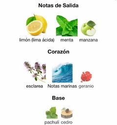 BLUE SAPHIRE - Lattafa Pride (Encargar) - las musas
