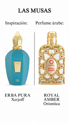 ROYAL AMBER - Orientica (Encargar) - tienda online
