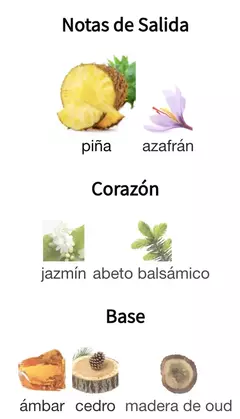QAED AL FURSAN - Lattafa (Encargar) - tienda online