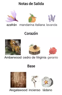 MUSAMAM - Lattafa (Encargar) en internet