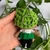 CHAVEIRO AMIGURUMI | One Piece - Zoro na internet