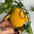 CHAVEIRO AMIGURUMI | Psicopato na internet