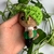 CHAVEIRO AMIGURUMI | One Piece - Zoro - comprar online
