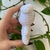 CHAVEIRO AMIGURUMI | Sanrio - Cinnamon Roll - comprar online