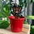 PIXEL ART | Baby Groot