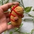 CHAVEIRO AMIGURUMI | Capivara Morango