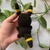 CHAVEIRO AMIGURUMI | Pokémon - Umbreon na internet