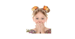 Banner da categoria Hair clip
