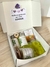 BOX SPA COMPLETO en internet