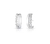 Brinco ear hook