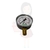 MANÔMETRO 7KG X 100PSI 1/4NPT MODELO FSA-62 - Lojas Isaura