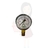 MANÔMETRO 7KG X 100PSI 1/4NPT MODELO FSA-62 - comprar online