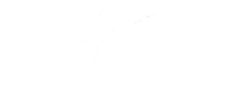 PORQUE AMO JOIAS