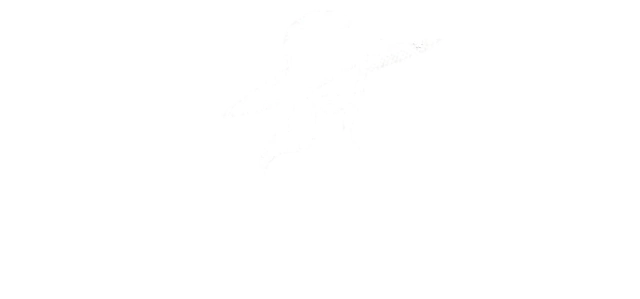 PORQUE AMO JOIAS