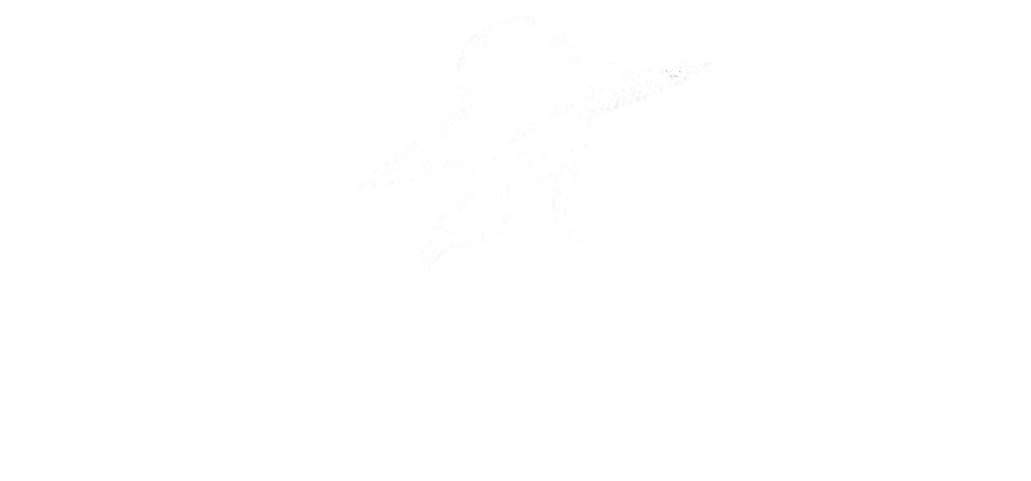 PORQUE AMO JOIAS