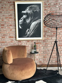 CUADRO CHIMPANCE en internet