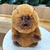 Muñecos Peluche de Capibara Infantil Unisex - tienda en línea