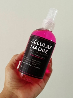 Células Madres