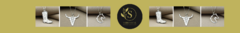 Banner da categoria Pingentes