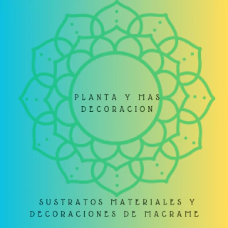 PlantaymasDecoracion