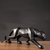 Pantera Negra Fosco Estatua Decoraçao Leopardo animal resina para a decoração na internet
