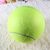 Imagem do Bola De Tênis para Cão, Mega Gigante Pet Brinquedos