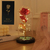 LED Light Flor em Tampa De Vidro, Eterna Rosa, Presente Do Dia Dos Namorado - comprar online