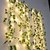 Planta Cordão Hera Folha Planta Artificial + 2 Luz Led Fio Fixo Decoração para Casa, Árvore de Natal, Árvore de Natal - loja online
