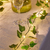 Planta Cordão Hera Folha Planta Artificial + 2 Luz Led Fio Fixo Decoração para Casa, Árvore de Natal, Árvore de Natal - comprar online