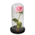 Rosa Encantada Eterna - Flores Artificiais em Galáxia, Inspiração da Bela e a Fera, Decoração de Casamento