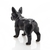 Estátua de cachorro buldogue francês nórdico, decoração para casa - Magic Haus