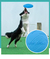 Frisbee Furacão Pet -Resistente à mordida Silicone Frisbee Brinquedos para Cão na internet