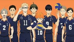 Banner de la categoría Haikyuu